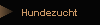 Hundezucht