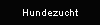 Hundezucht